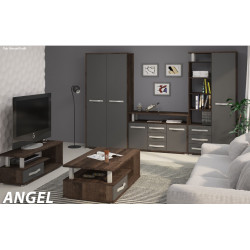 Sekcija ANGEL 6