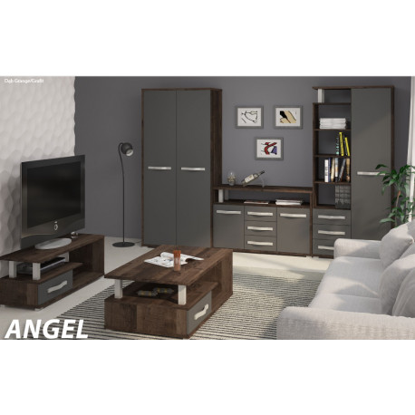 Sekcija ANGEL 6