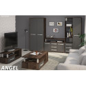 Sekcija ANGEL 6