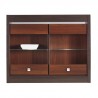 Pakabinama vitrina Borrest FR17